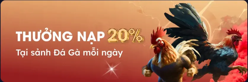 Thưởng 288K mỗi ngày khi chơi Đá gà Live Stream