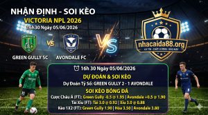 Nhận định soi kèo Green Gully vs Avondale 16h 30 ngày 05/06/2026 – Victoria NPL