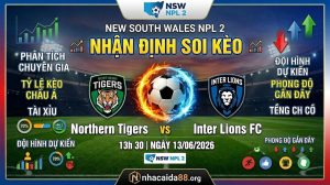 Nhận định soi kèo Northern Tigers vs Inter Lions 13h 30 ngày 13/06/2026 – New South Wales NPL 2